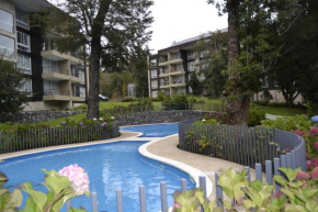 Nice apartment in Pucón Chile